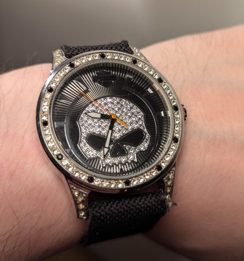 2009 Harley Davidson Skull Watch (Working, new battery)