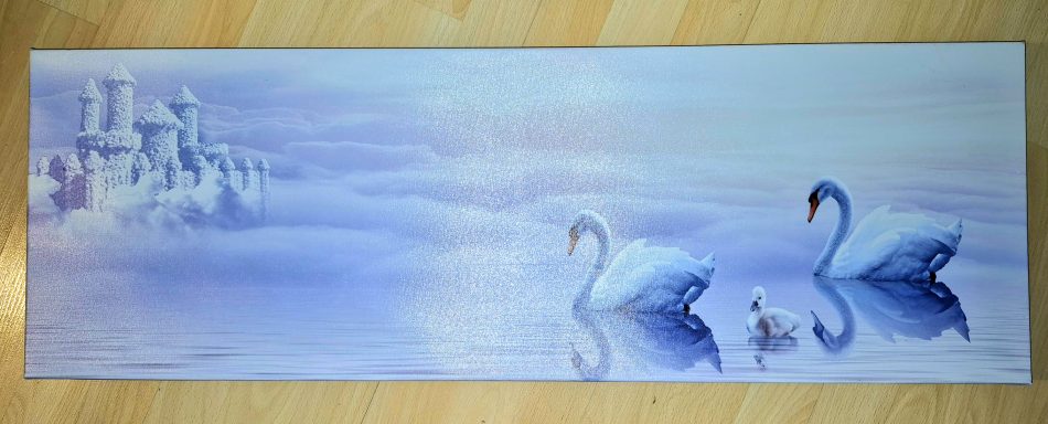 Magic Swan Print 35 x 12 inches